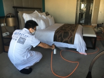 如何使用光觸媒除甲醛，以及它的原理是什么