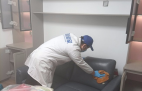哪種方法除甲醛才是真正有效的呢？