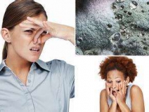家里有異味怎么辦？科學除味、治理甲醛就對了！